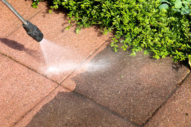 Best Pressure Washing Driveway  in New Roads, LA